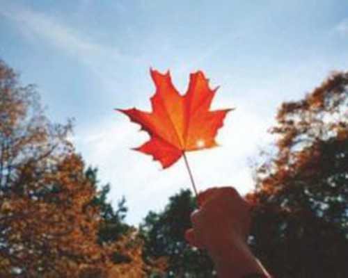 摩洛哥侨民的历史和家庭的复杂地理