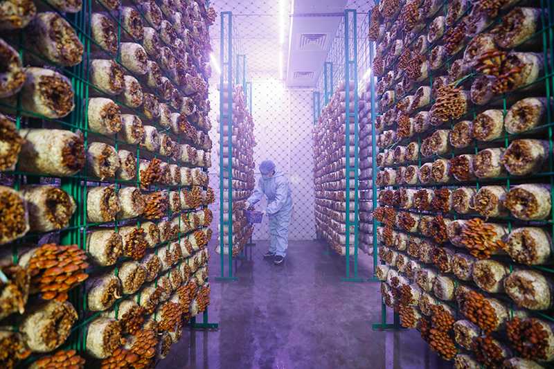 福建最新发布：事关高考！