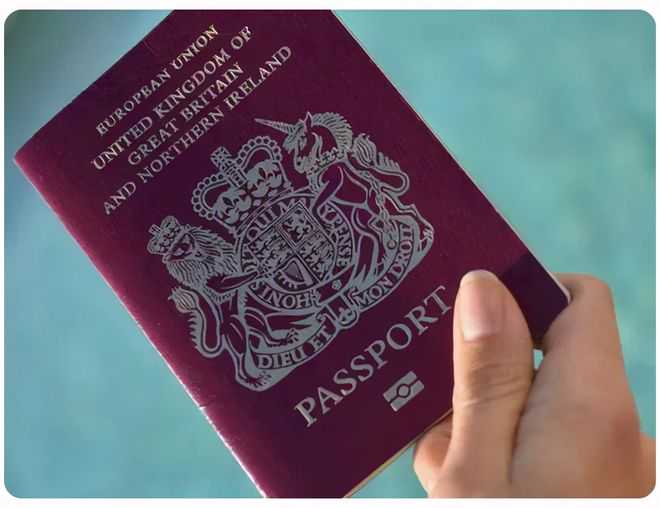 水拍云崖展翅起“白鹤”飞舞金沙间