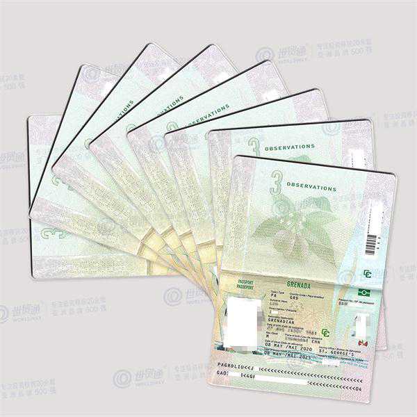 新西兰移民局发通告：居民签证申请健康标准有调整